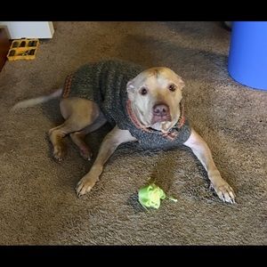 Meet your Posher, Avery